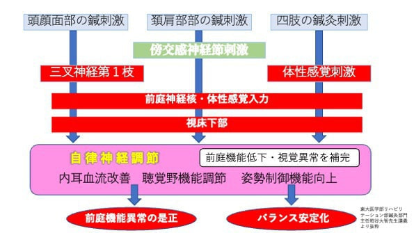 鍼治療機序